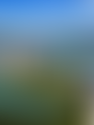 Península - Barra da Tijuca