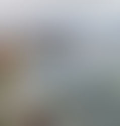 Conheça Porto Maravilha: O Novo Polo de Investimentos e Cultura no Rio de Janeiro