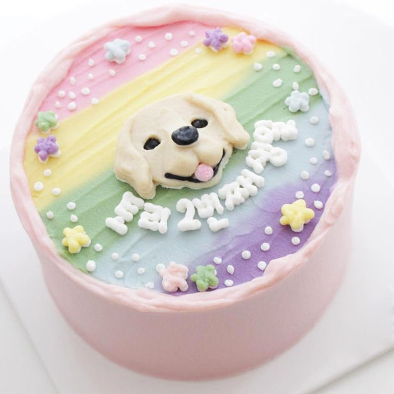 Thumbnail: Magical Rainbow Birthday Pet Cake