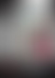 Paleizenaren doen mee aan diverse interessante exposities Groningen