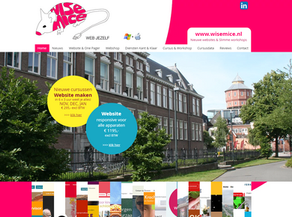 Nieuwe cursus Website maken voor Kunstenaars en ZZP'ers in Het Paleis Groningen - start 17 sept