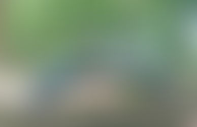 Expositie Kitty Blüm - Spaarbankbos Fluitenberg t/m 15 september 2021