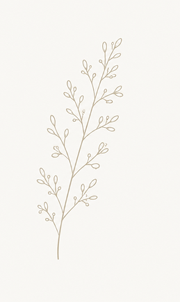 ChatGPT Image 7 mai 2026, 12_16_00.png