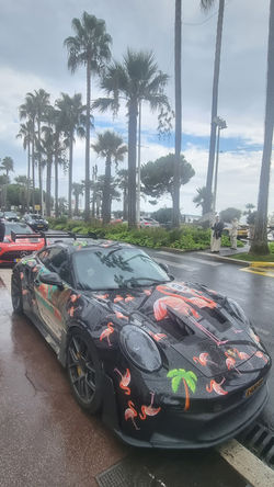 Авто в Каннах