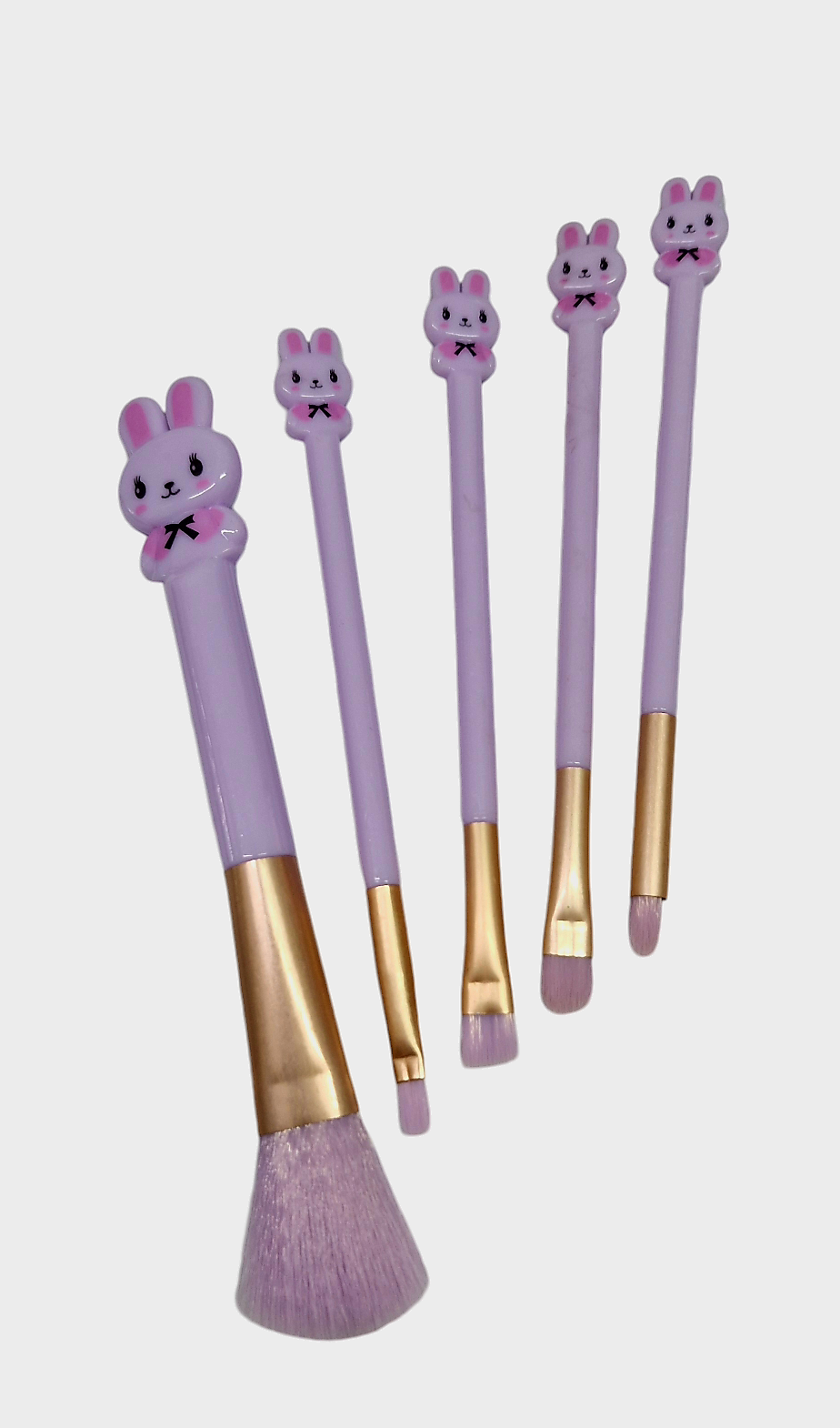 Set de pinceles x 5 unid Art. 531