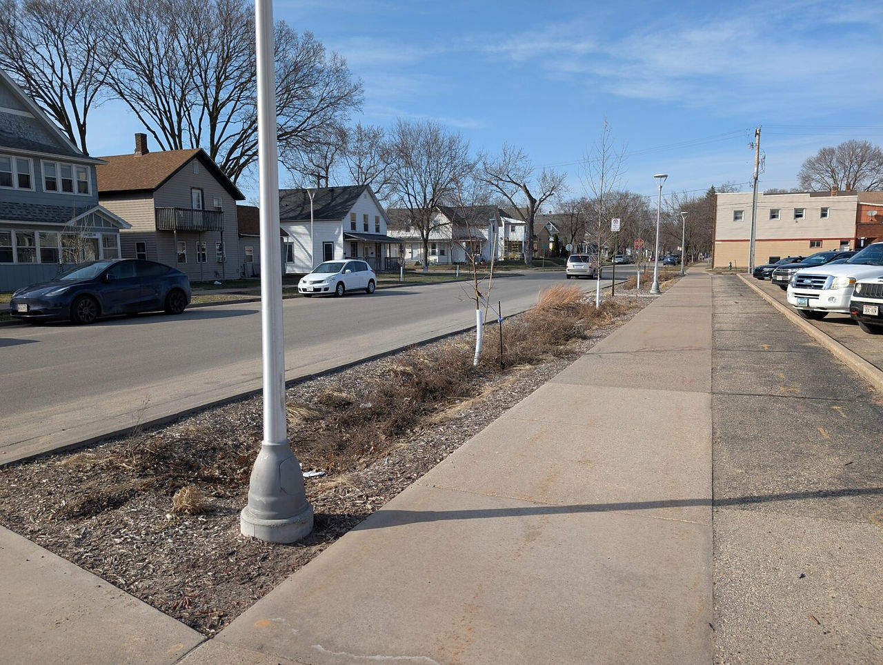 Observing a new Bioswale in the Avon Street right-of-way. It reduces runoff into the nearby Black Ri