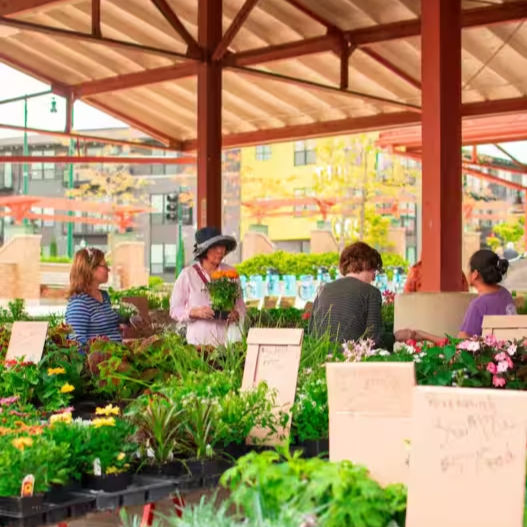 West Allis, Wisconsin farmers market