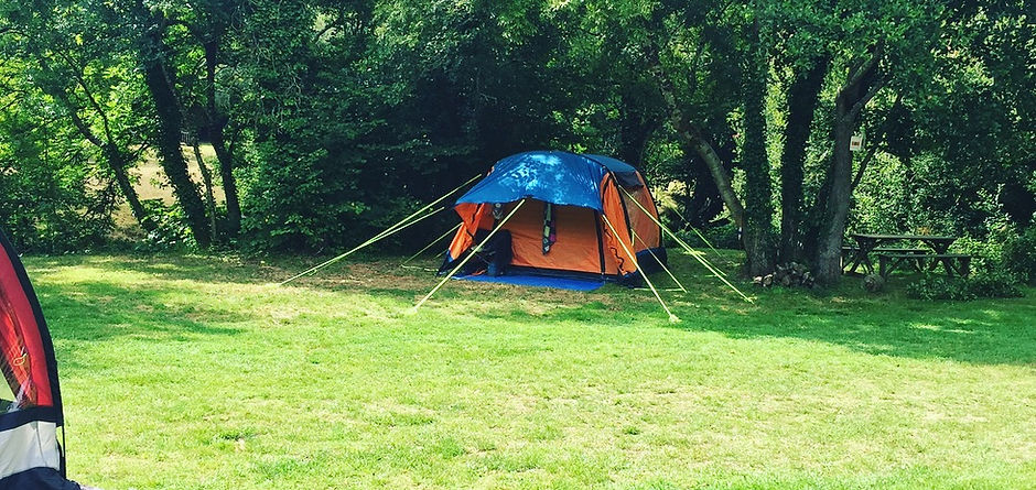 Level grass campsite