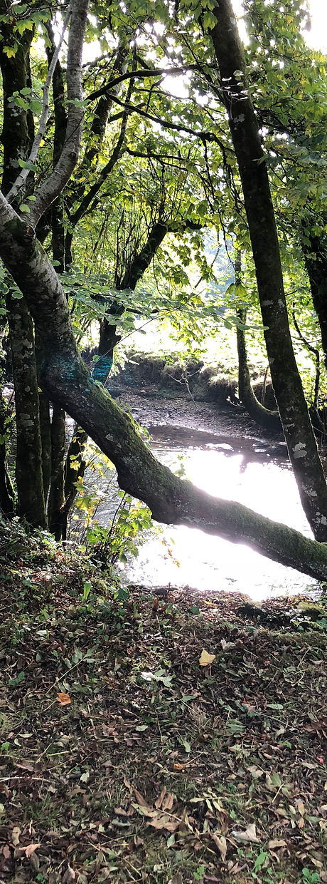 River Avon, South Devon