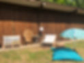 D9095281-D56B-4C47-96DD-8D85E58FF499_edited_edited.jpg