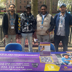 NYCHA Lead Abatement Program, Citywide