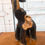 Thumbnail: Beautiful hard wood heavy elephant figure