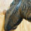 Thumbnail: Rustic style Zebra mounted head wall sculpture