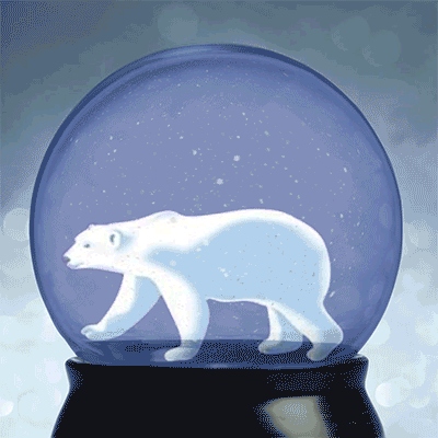 Polar Paws