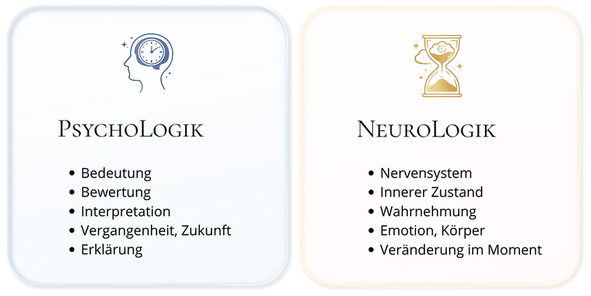 Kopie von 03.02.2026(19).png