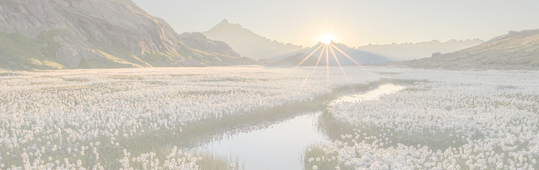 11.03.2026 Website Bilder(8).png