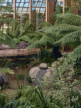 260110 The Forest 3039.jpg