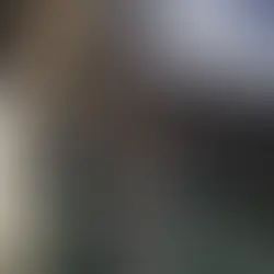 Do You Really Need Gutters in Charleston, SC? Here’s the Truth