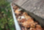 Clogged Gutters