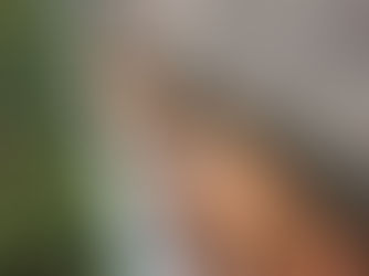 Clogged Gutters Charleston