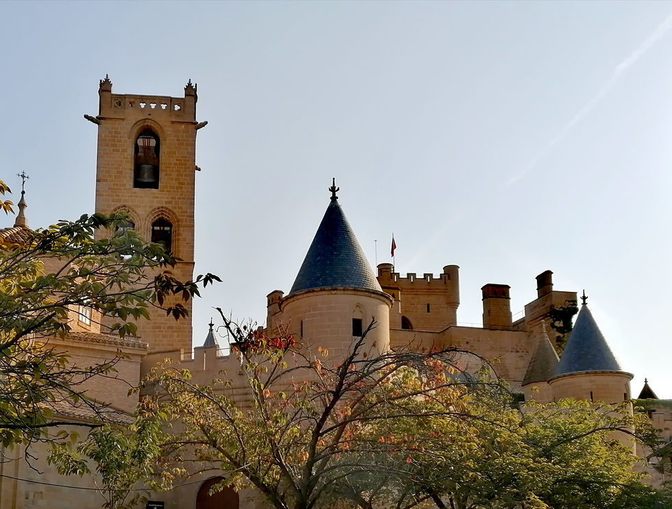 Castelo de Olite.
