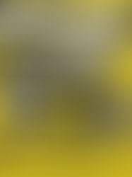 Post Malone & Jelly Roll Announce The BIG ASS Stadium Tour Part 2 for 2026