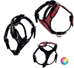 ppp-removebg-preview