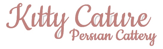 Kitty Cature Persian Cattery logo
