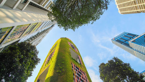 Edifícios saudáveis são a “próxima fronteira” do imobiliário e da arquitectura