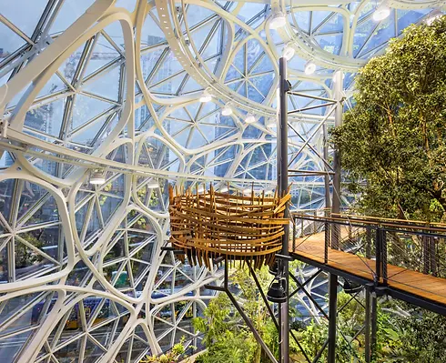 Amazon Spheres 1.webp