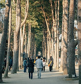 13번 남이섬_edited.jpg