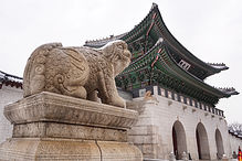 11번 광화문.jpg