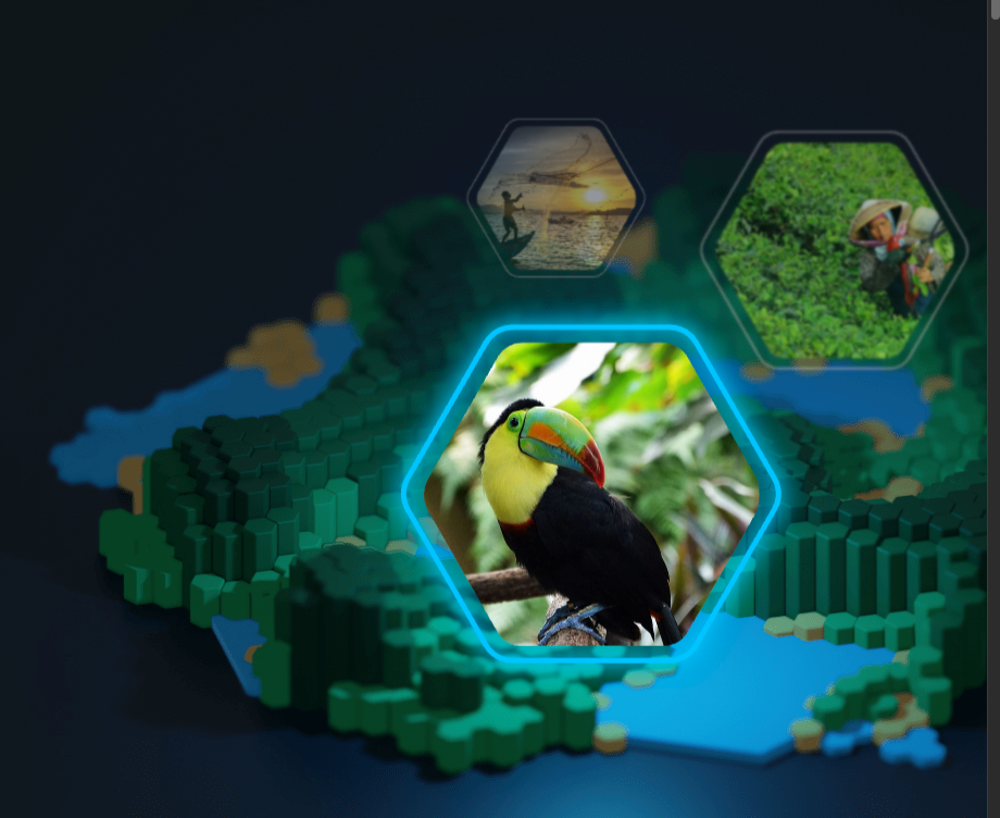 Marxan Conservation Planning Platform (MaPP)