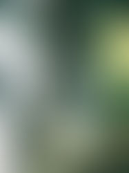 【ESG永續見學】走入永續，向淡水見學：將城市變成教室，把行動寫進身體