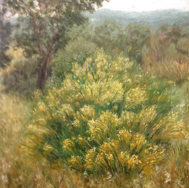 Monte con retama amarilla, óleo sobre lienzo
