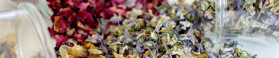 Floriterapia Paola Rita Cavallotti