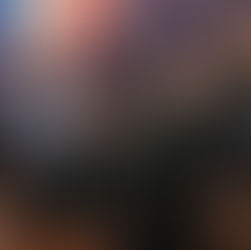 ĐURĐICA JURIĆ PONOVO IZABRANA NA ČELO SISAČKE ORGANIZACIJE