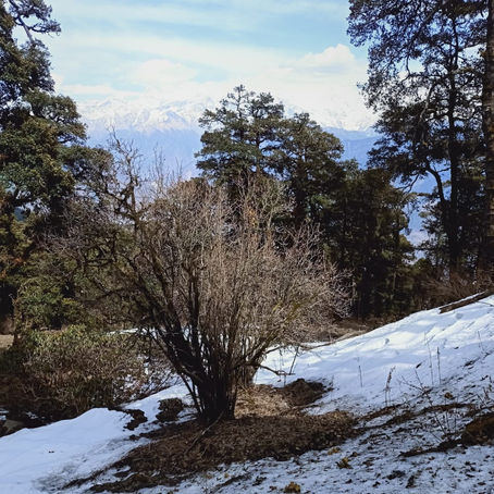 कुछ कहते नहीं 