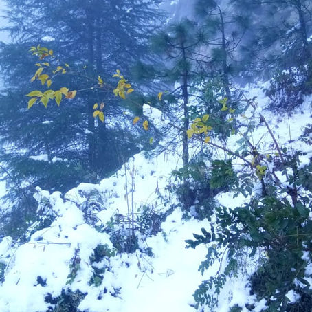 नहीं थकता प्रेम, प्रेम करने से