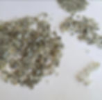 IMG-20250811-WA0010.jpg