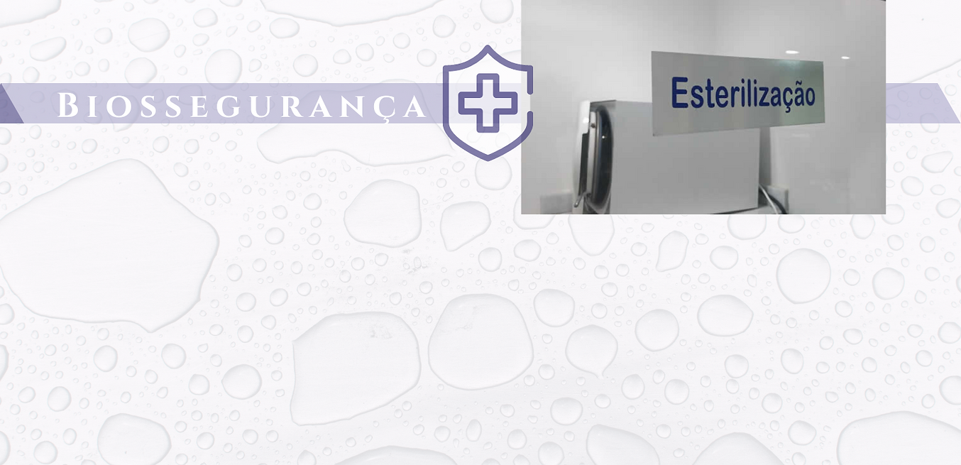 Biossegurança.png