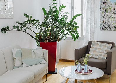 Ruhiger Therapieraum in 1090 Wien mit Sofa und Zimmerpflanze