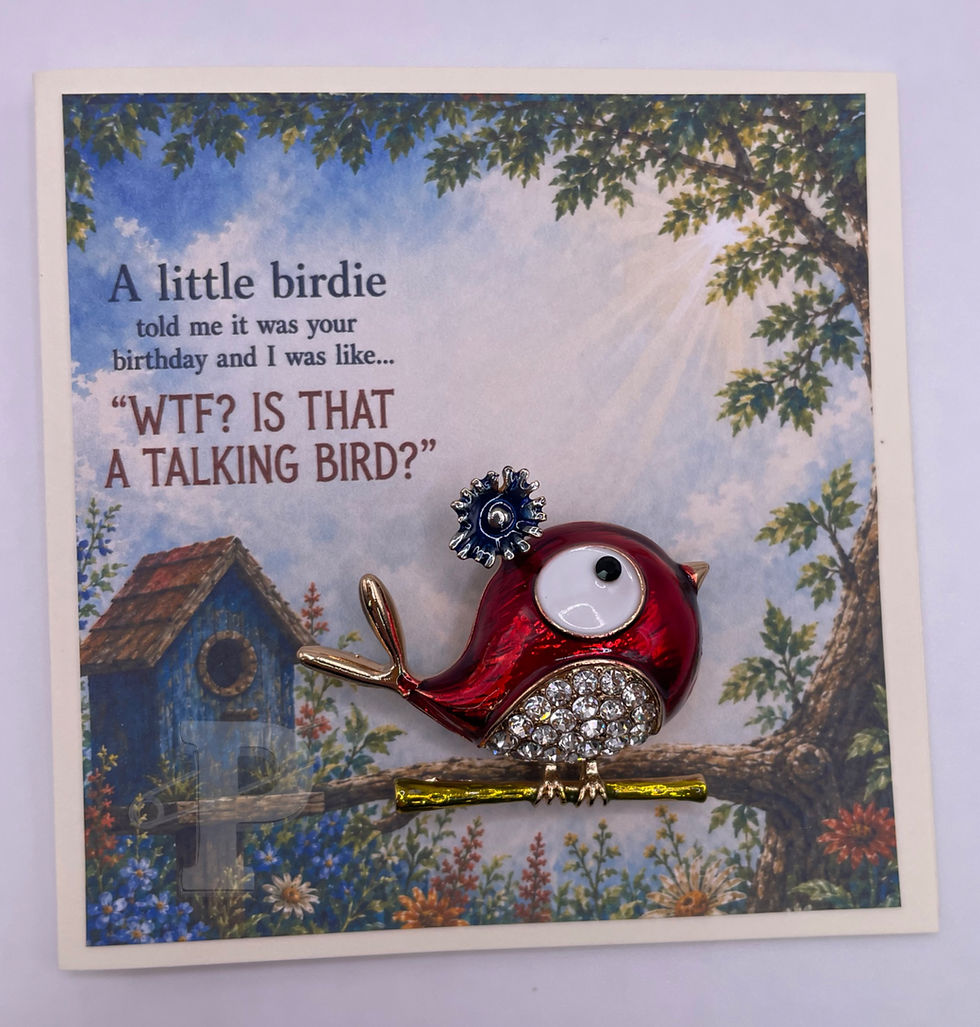 Funny mini birthday greeting card with red bird brooch and talking bird joke.