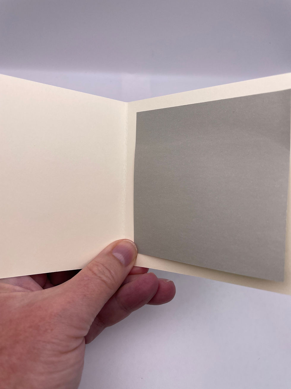 Blank cream-colored greeting card interior with coordinating gray writing panel for a personalized handwritten message.