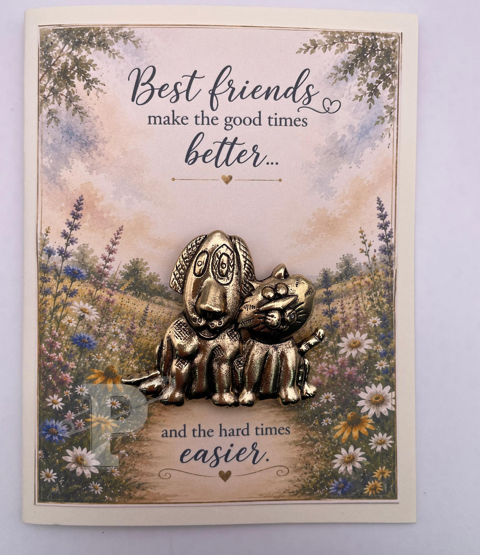 Friendship card with dog and cat brooch.