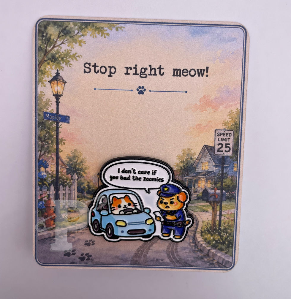 Funny cat traffic stop enamel pin on a neighborhood-themed pin card with the sentiment "Stop right meow!"