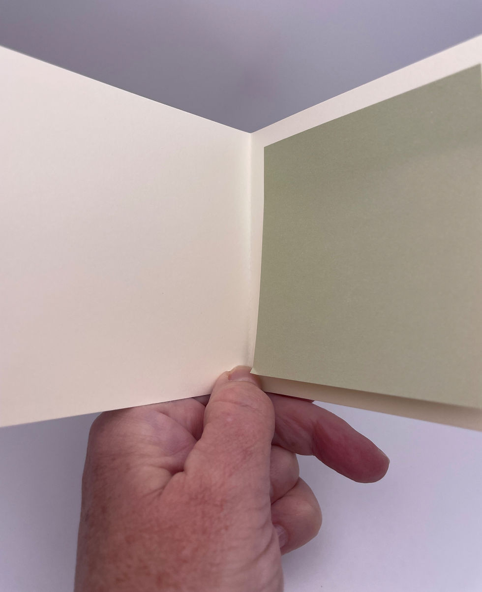 Blank cream-colored interior of the mini greeting card with a coordinating sage green writing panel.