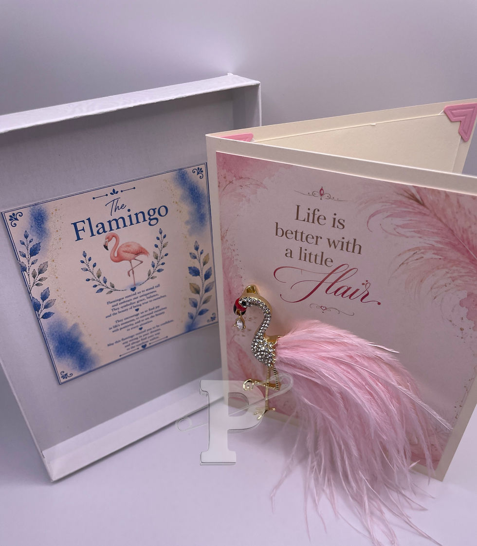 Gift boxed flamingo brooch greeting card with Flamingo symbol meaning card