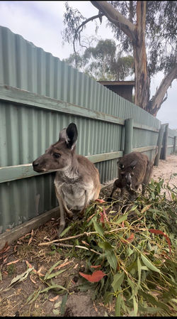 WechatIMG1212_edited