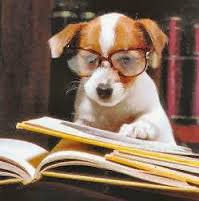 chien qui lit.jpeg
